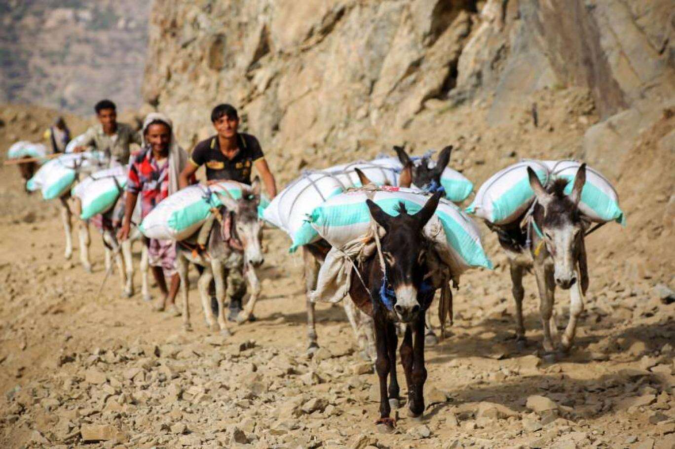 هام: جديد الهدنة الإنسانية في اليمن.. بشرى شارة بخصوص... مساحة نت | هام: جديد الهدنة الإنسانية في اليمن.. بشرى شارة بخصوص المرتبات ومطار صنعاء الدولي وصدمة بشأن طرق تعز (التفاصيل كاملة)
