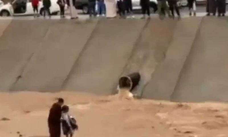 مشهد بطولي لإنقاذ طفل من السيل بالمدينة المنورة في... مساحة نت | مشهد بطولي لإنقاذ طفل من السيل بالمدينة المنورة في السعودية.. لحظات تحبس الأنفاس (فيديو)