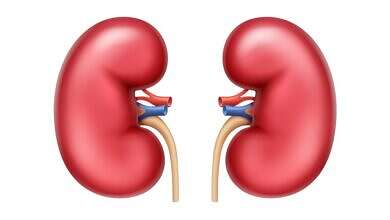 صورة تعبيرية (مواقع)