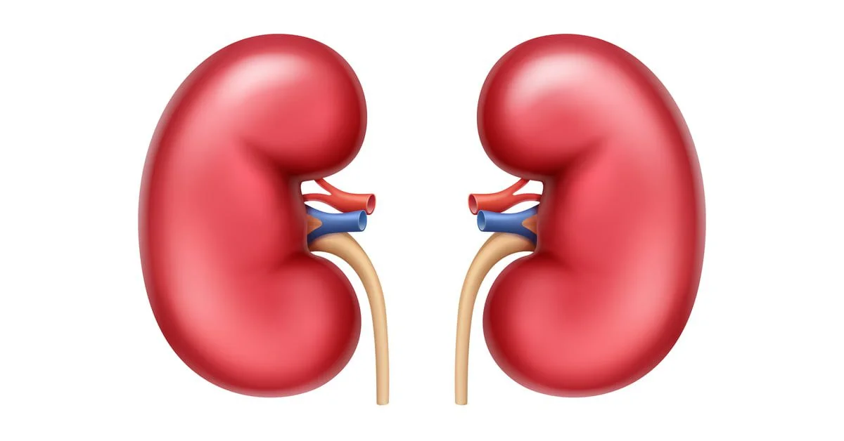 صورة تعبيرية (مواقع)