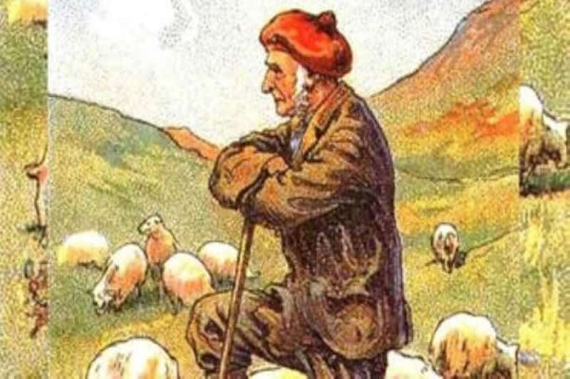 الآلاف احتاروا.. هل يمكنك تحديد كلب الراعي في هذه الصورة... مساحة نت | الآلاف احتاروا.. هل يمكنك تحديد كلب الراعي في هذه الصورة خلال 12 ثانية فقط؟ (صورة)