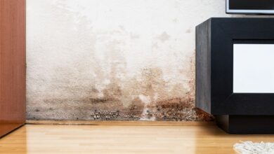 طرد الرطوبة من المنزل (مواقع)