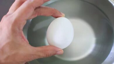 صورة تعبيرية (مواقع)