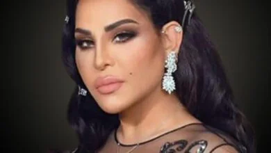 الإعلامي السعودي &apos;فهد الأحمدي&apos; يقلل من شأن الفنانة...