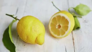 ضع حبات من الليمون جوار سريرك ليلا وراقب النتيجة.. شيء لم... مساحة نت | ضع حبات من الليمون جوار سريرك ليلا وراقب النتيجة.. شيء لم تسمع به من قبل ولن يخطر على بالك