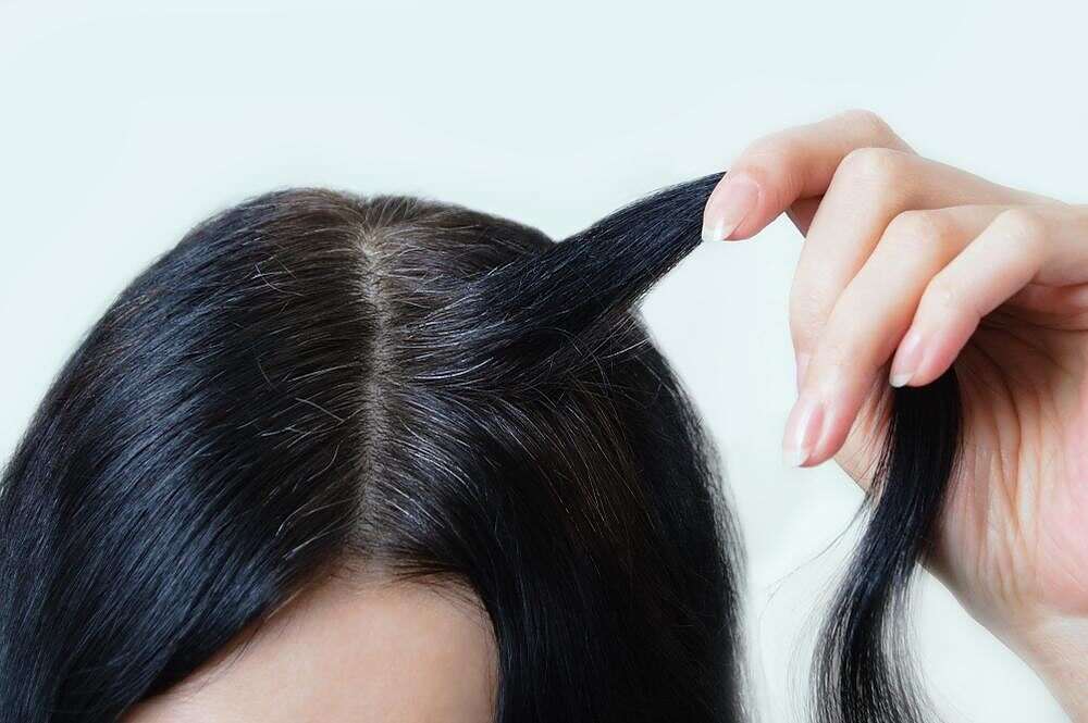 مساحة نت | وصفة رهيبة للقضاء على الشيب المبكر بمكونات متوفرة في كل منزل.. لن يعود مجددا مساحة نت | وصفة رهيبة للقضاء على الشيب المبكر بمكونات متوفرة في كل منزل.. لن يعود مجددا