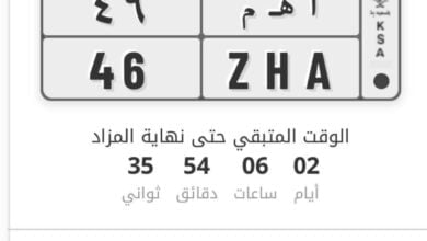 بالصور: تعرف على أبرز اللوحات المميزة المعروضة في مزاد علني...