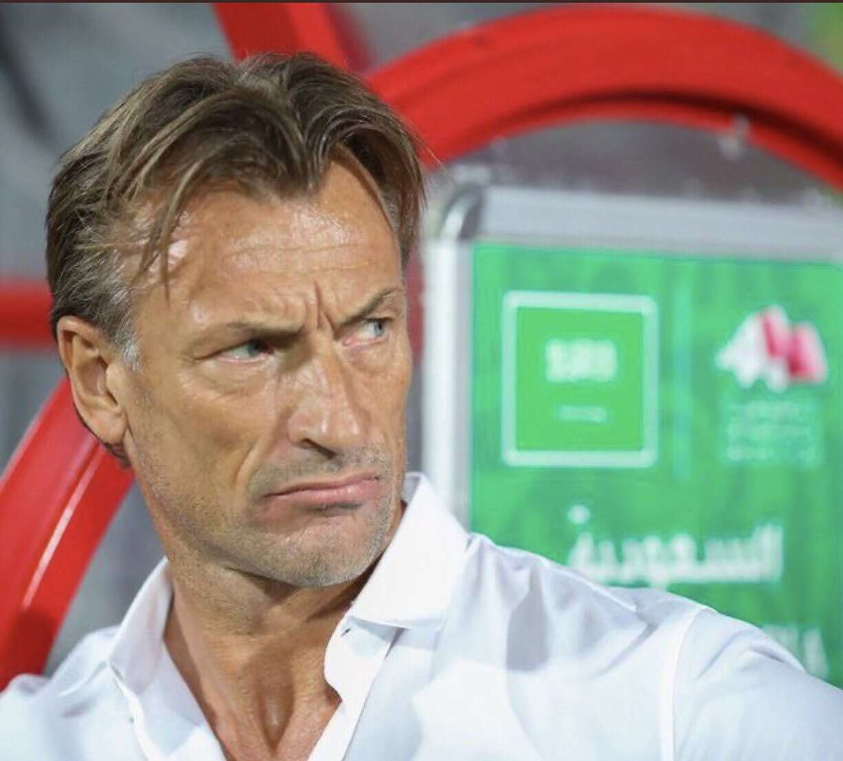 بالفيديو: أول ردة فعل غاضبة من مدرب المنتخب السعودي رينارد... مساحة نت | بالفيديو: أول ردة فعل غاضبة من مدرب المنتخب السعودي رينارد تجاه اللاعبين عقب نهاية المباراة مع بولندا