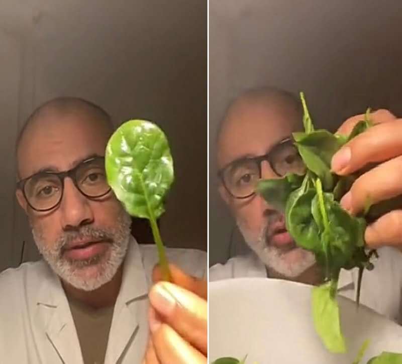 معجزة طبيعية.. الكشف عن نبات شهير ورخيص الثمن يمنع الجلطة... مساحة نت | معجزة طبيعية.. الكشف عن نبات شهير ورخيص الثمن يمنع الجلطة وينظم الضغط ويخفض الوزن وينقي البشرة