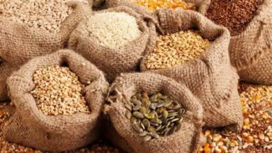 نوع شائع من البذور يخفض مستوى السكر في الدم (وكالات)