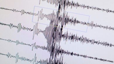 صورة تعبيرية (مواقع)