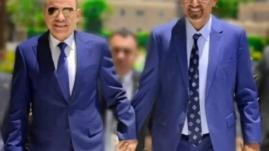رئيسا المجلس الرئاسي والانتقالي (وكالات)