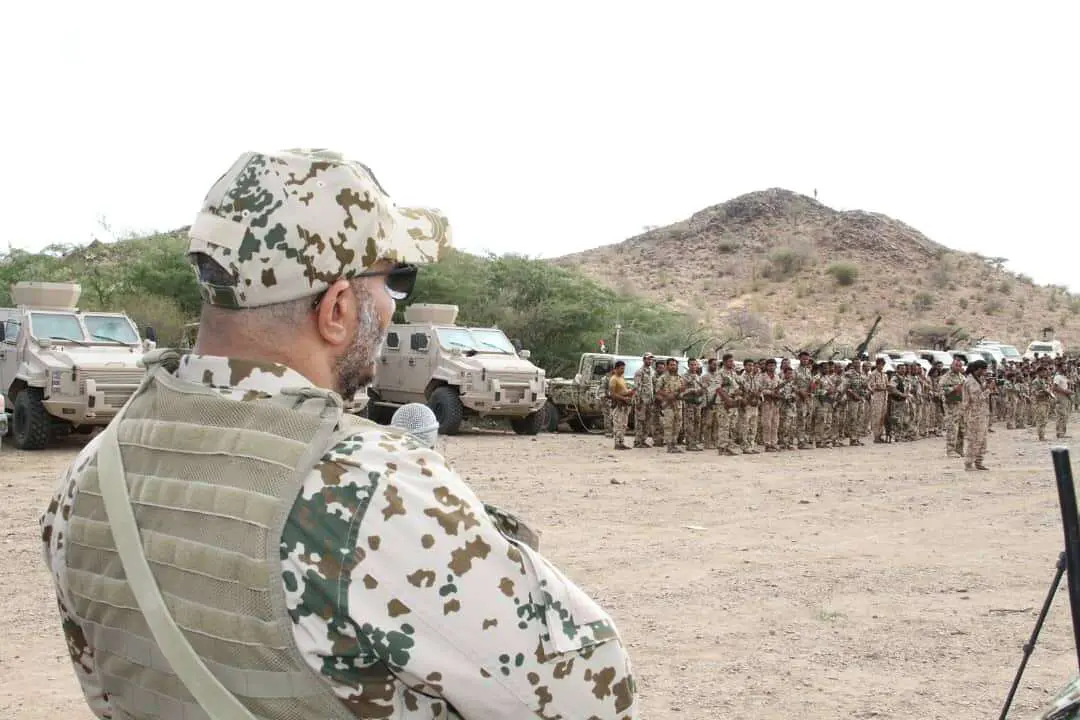 طارق صالح123 طارق صالح قائد المقاومة الوطنية (وكالات)