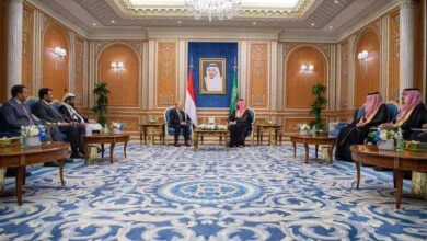 ولي العهد السعودي وأعضاء مجلس القيادة الرئاسي اليمني (وكالات)