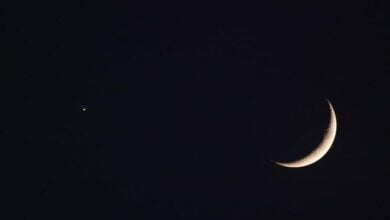 صورة تعبيرية (مواقع)