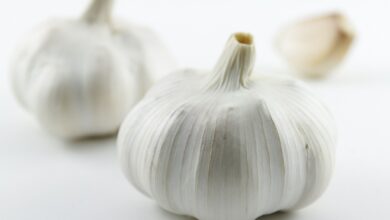 صورة تعبيرية (مواقع)