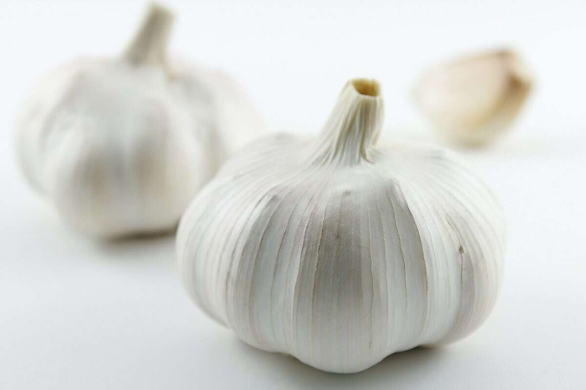 ثوم صورة تعبيرية (مواقع)