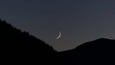 صورة تعبيرية (مواقع)