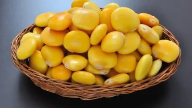 الترمس (مواقع)