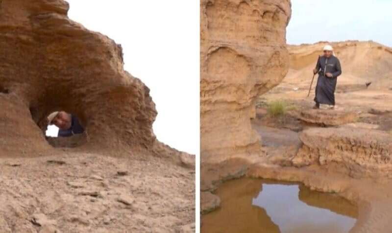 فلكي سعودي مساحة نت | لماذا سُمي شوال بهذا الاسم وما سبب تشاؤم العرب من الزواج فيه؟.. فلكي سعودي يجيب