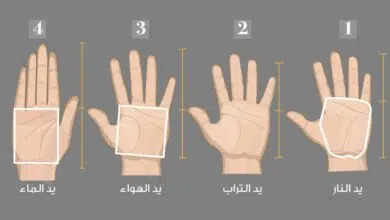 مساحة نت | بسبب ميسي.. راموس يعتدي على أحد المصورين بعد الهزيمة من بايرن (فيديو أوضح)