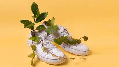 سبب غير متوقع لوضع ورق الغار داخل الحذاء (مواقع)