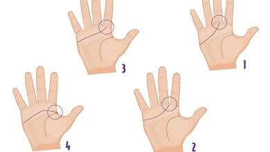 شكل اليد والشخصية (مواقع)