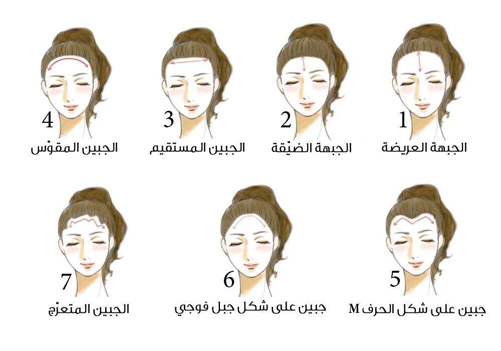 شكل الجبهة1 شكل الجبهة (مواقع)