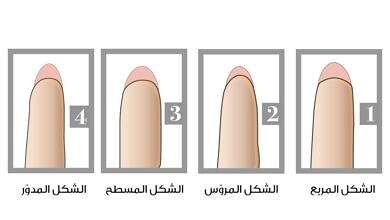 شكل أطراف الأصابع (مواقع)