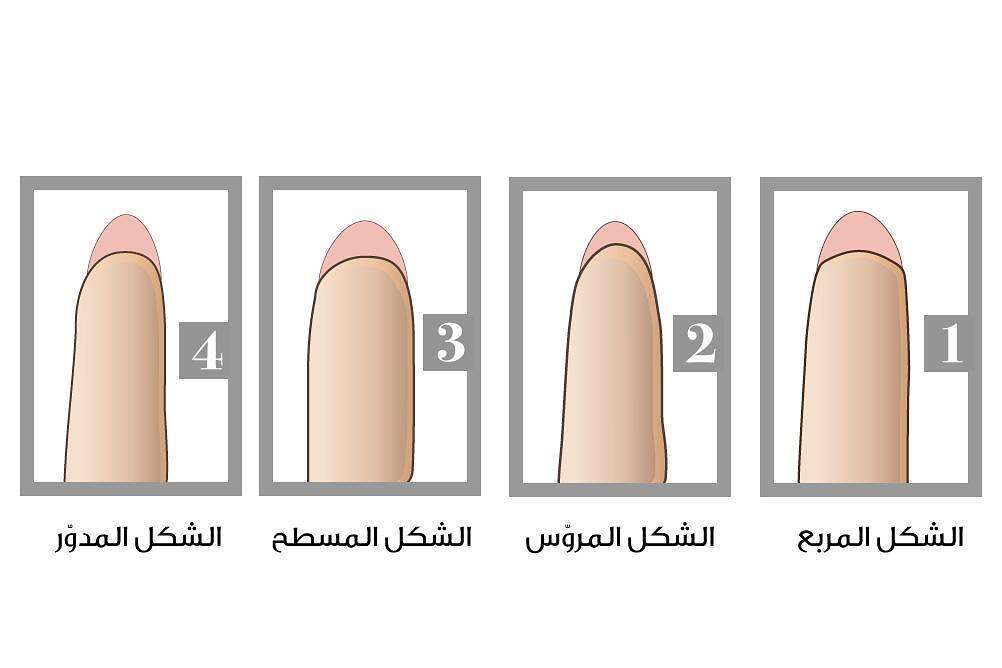 شكل أطراف الأصابع شكل أطراف الأصابع (مواقع)