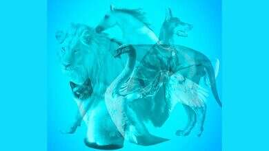 اختبار شخصية (مواقع)