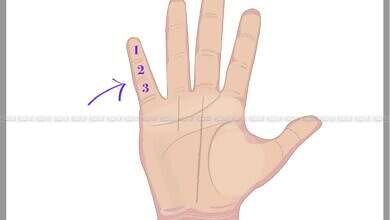 سمات الشخصية من خنصر اليد (مجلة الجميلة)