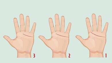 خطوط اليد والشخصية (مواقع)