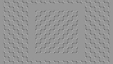 خدعة بصرية (مواقع)