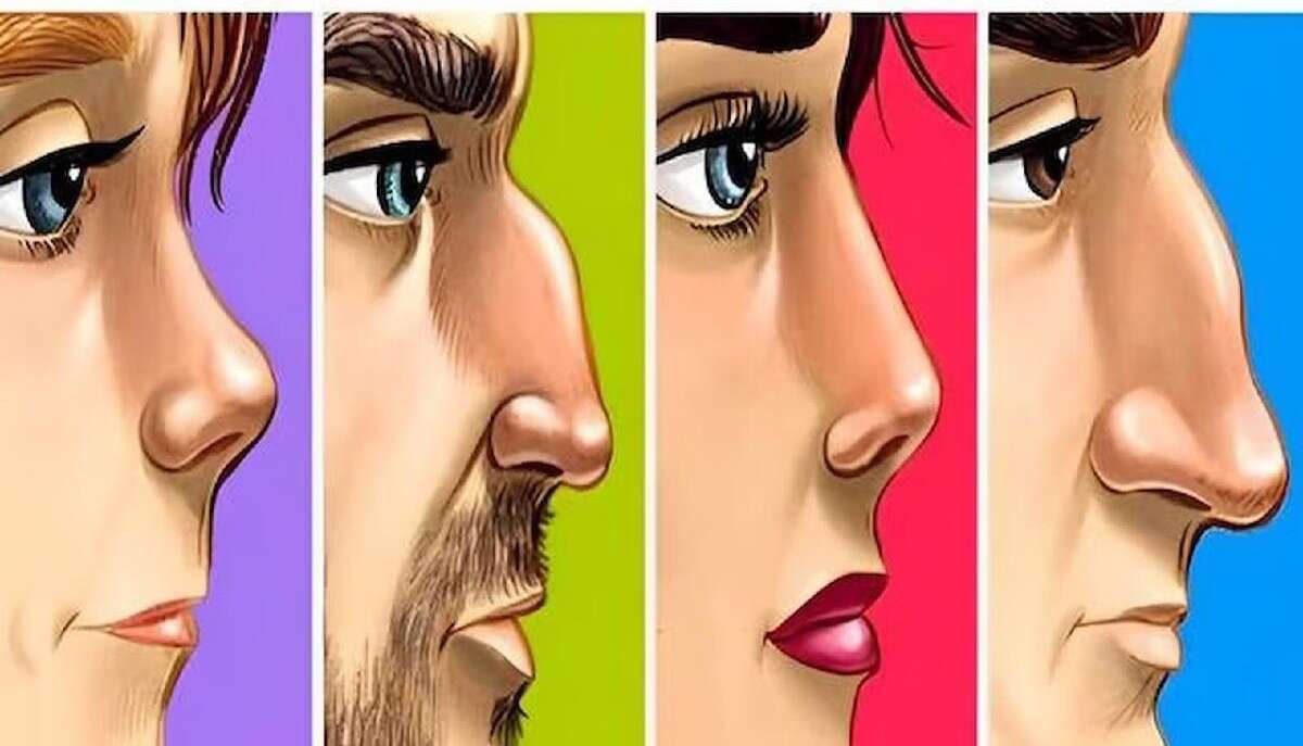 شكل الأنف 1 شكل أنفك وأسرار شخصيتك (مواقع)