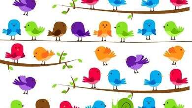 اختبار شخصية (مواقع)