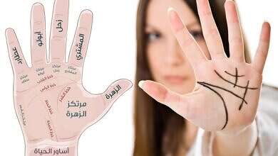 شكل الكف (مواقع)