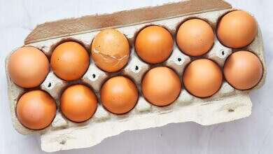 بيضة متشققة (مواقع)