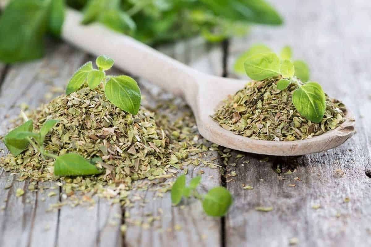 أعشاب منع الحمل طرق منع الحمل بالأعشاب (مواقع)