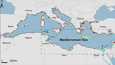 صورة تعبيرية (مواقع)