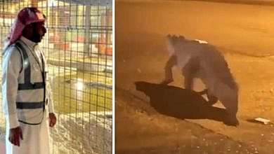 تمساح شارد في القطيف السعودية (منصات تواصل)