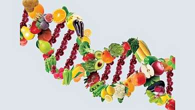 صورة تعبيرية (مواقع)