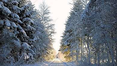 ثلوج في الدنمارك (مواقع)