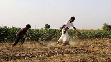 من أنشطة مجموعة هايل سعيد الزراعية (منصات تواصل)