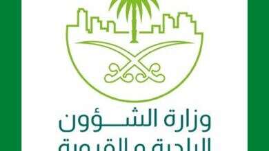 صورة تعبيرية (مواقع)