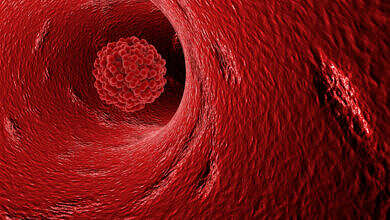 صورة تعبيرية (مواقع)