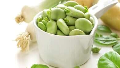 صورة تعبيرية (مواقع)