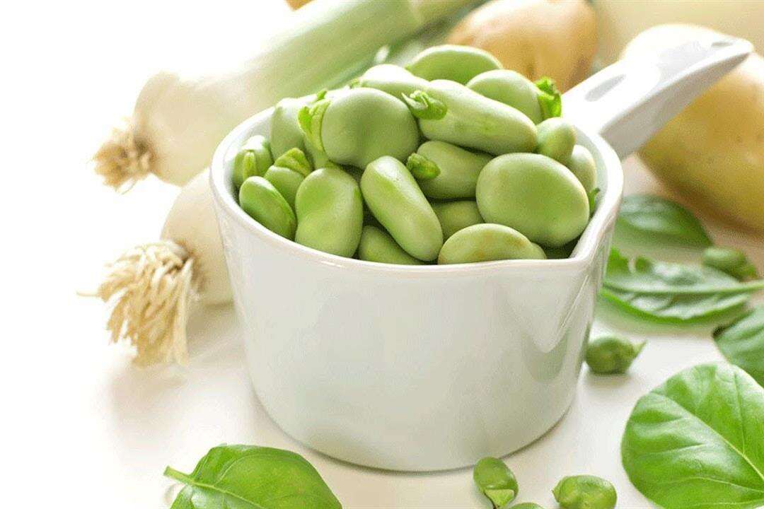 فول أخضر صورة تعبيرية (مواقع)