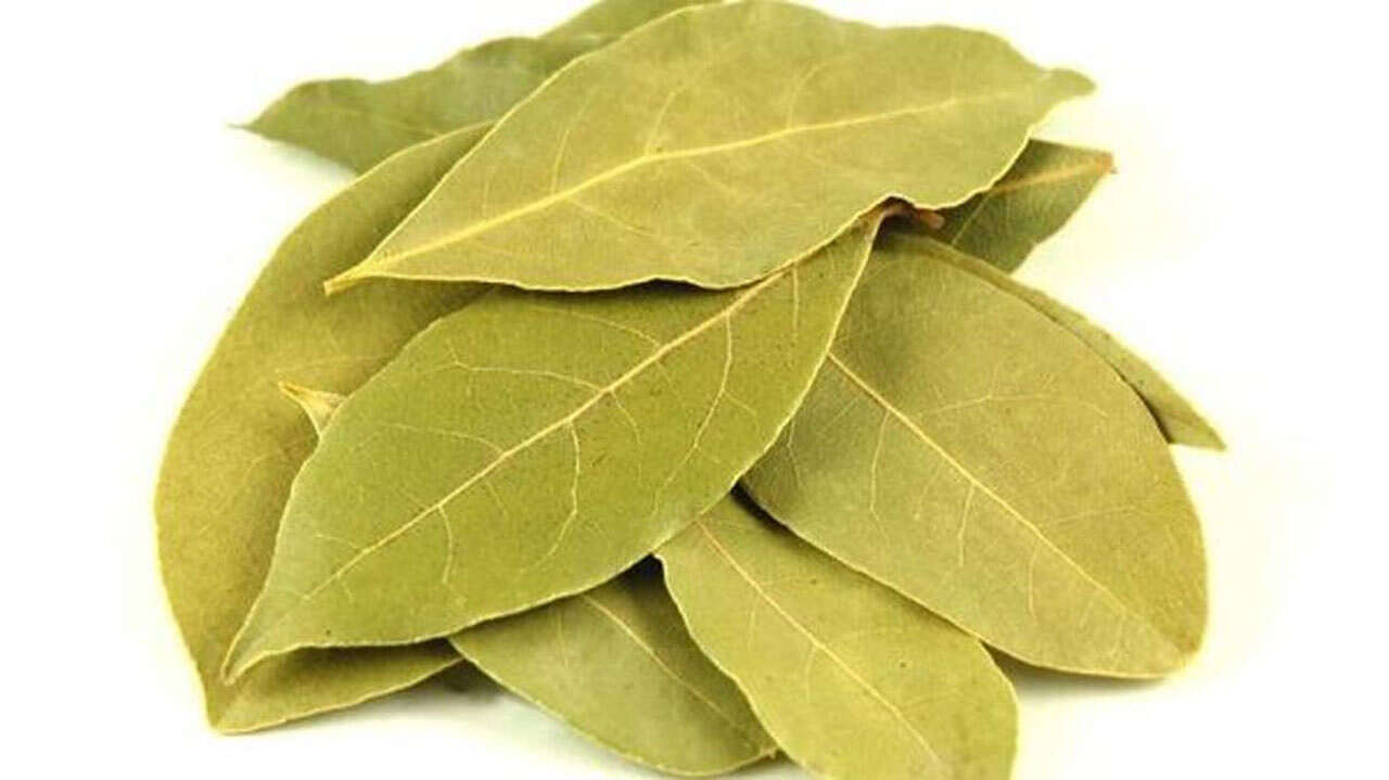 ورق الغار ورق الغار (مواقع)