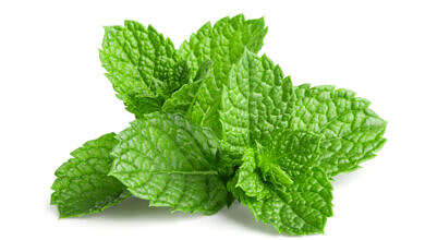 صورة تعبيرية (مواقع)